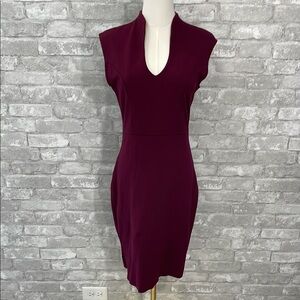 Rolla Coster Purple Sheath Mini Dress